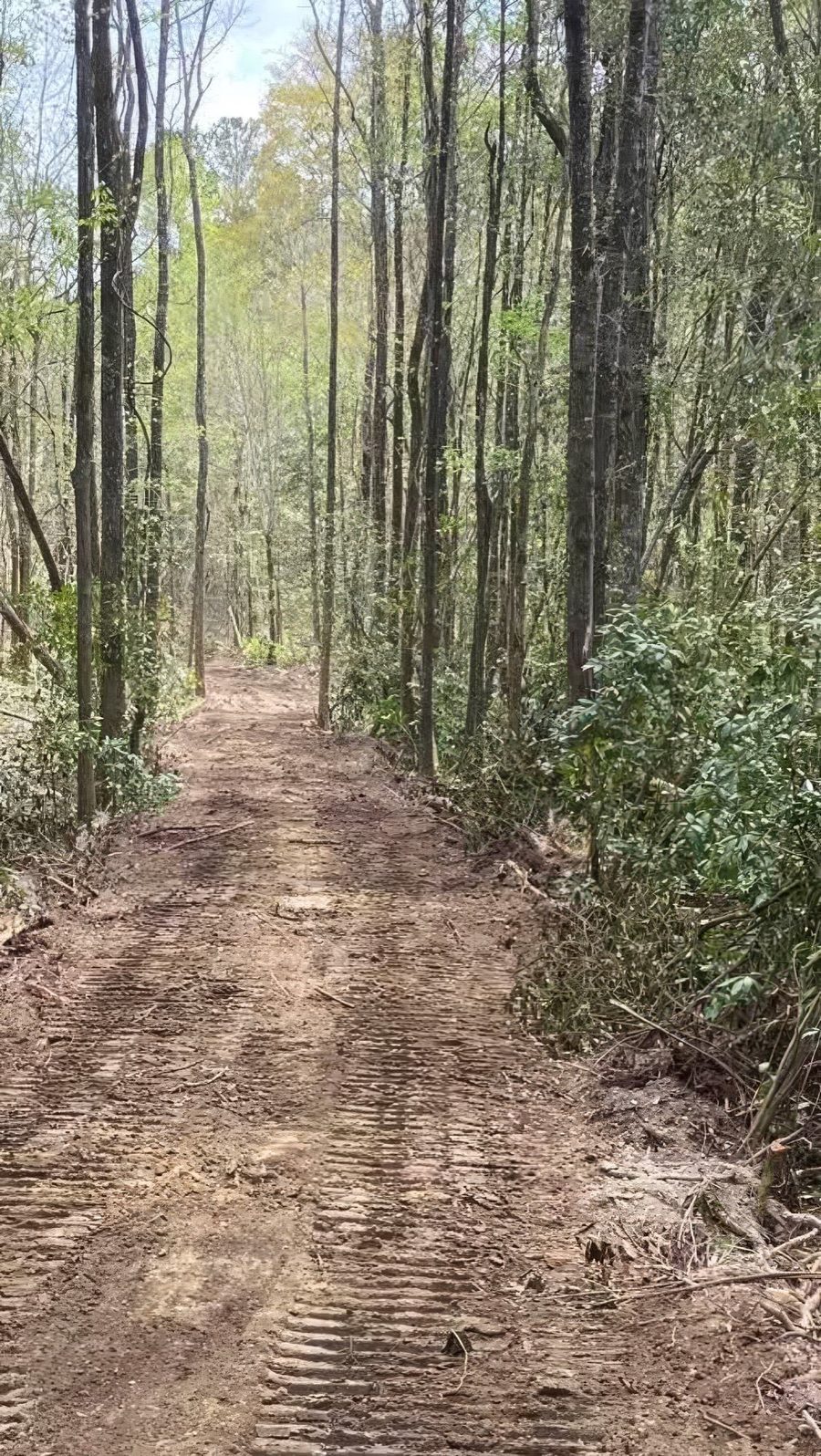Road building project