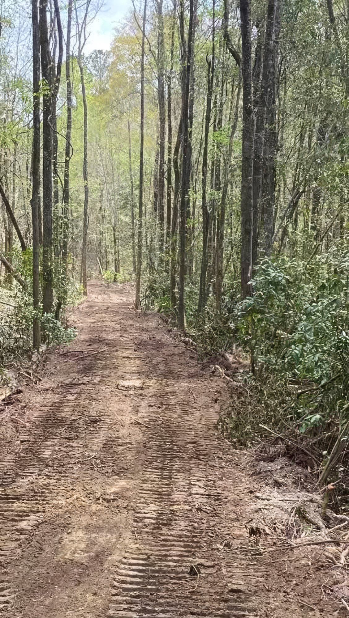 Road building project completed by Wolf Creek Farms